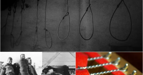 How the SS Executed Prisoners with Piano Wire: The Shocking Reason It Became History’s Most Agonizing Execution Method