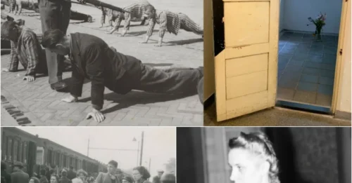 How SS Guards Crushed 74 Women in a 9-Square-Meter Cell: 14 Hours of Horror in the Bunker Tragedy – Nazi Commander Adam Grünewald and the Price of His Monstrous Crimes
