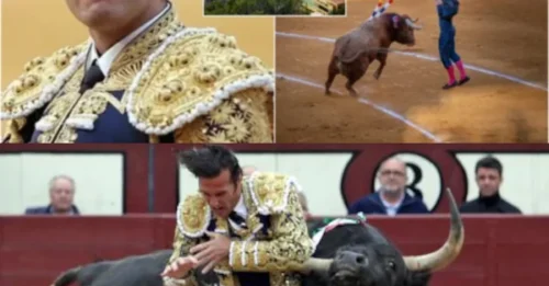 BULL DRAMA! Retired matador, 51, fatally injured by bull while preparing for sold-out annual fight in Spain as tributes pour in