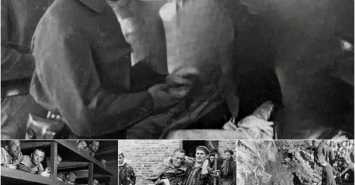 ONE DAY Inside the Most BRUTAL Nazi Concentration Camp: What the Allies Found When They Walked Into Auschwitz-Birkenau on January 27, 1945 — The HORROR the World Had Never Witnessed