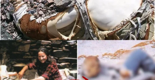 The TERRIFYING truth behind Hannelore Schmatz's conquest: her FINAL BREATH on Everest became a FROZEN NIGHTMARE forever.