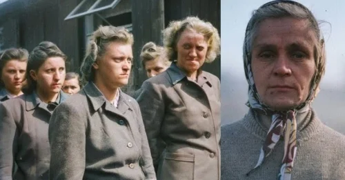 THE DAY THE WOMEN OF BERGEN-BELSEN WERE BROUGHT TO JUSTICE: The NOTORIOUS Guards Who Caused the Deaths of 50,000 Victims – The Voices of the Past Whose Justice Was Finally Acknowledged 7