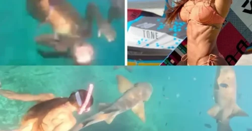DEEP SEA BITE-MARE: Intense moment shark latches onto snorkeler’s leg and pulls her through the water as stunned friends watch on