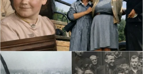 Why the YOUNGEST FEMALE GUARD of Stutthof Was Publicly Hanged: 4 Months of Abusing Countless Women by 22-Year-Old Elisabeth Becker — And Her Final Plea for Mercy Before 200,000 Onlookers 7