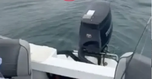 WE'RE NEXT! Heart-Stopping Moment Fishermen Get Trapped in a DEATH LOOP by a MONSTER Great White – Screams Echo Across the Water!