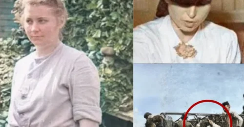 THE “INFAMOUS BEAUTIFUL GHOST” OF THE STUTTHOF HELL CRIED AND WEPT BEFORE ANSWERING FOR HER CRIMES: The Public Execution of “Mad Jenny” – The Notorious End of Jenny-Wanda Barkmann’s Harsh Reign at Stutthof That Still Haunts History  7
