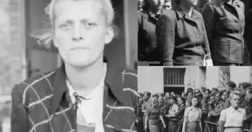 SHE DROWNED WOMEN IN A POOL: The Disturbing and Notorious Crimes of Hildegard Lohbauer – The SS Guard Who Was a Single Mother with a Hidden Past 7