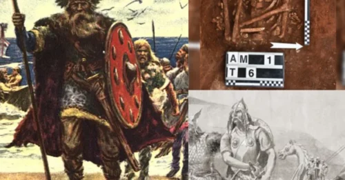 NOT NORMAL HUMAN SIZE: ‘MASSIVE’ Viking Descendant Skeletons Found in Sicilian Tomb – EXPERTS STUNNED by the Measurements