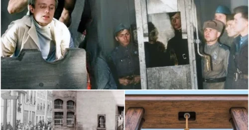 The “SHOCKING” Upgrade That Made the German Guillotine a Deadlier Legend: A Simple Steel Collar and a Lighter Blade – The UNFORGIVABLE Efficiency Rome Never Saw Coming.