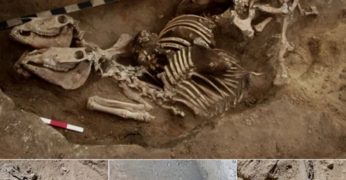 They didn't just find a horse skeleton. They found the BIT THAT NEVER CAME OUT. Cavustepe castle just forced a FULL REWRITE of Urartian military history.