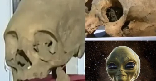 ALIEN SKULLS EXHUMED? No – but what we dug up from ancient royal tombs is even weirder: WHY THE LONG HEAD?