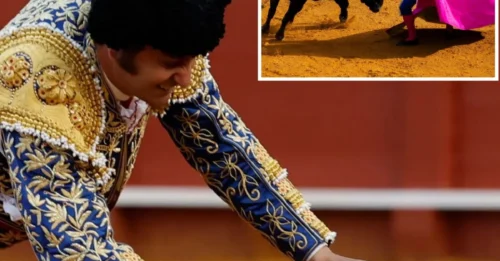 ATAQUE SANGRIENTO! El 'rey de los toreros' fue corneado en el trasero por una bestia furiosa; el matador fue trasladado de urgencia al hospital con una herida de 10 cm 'muy grave'.