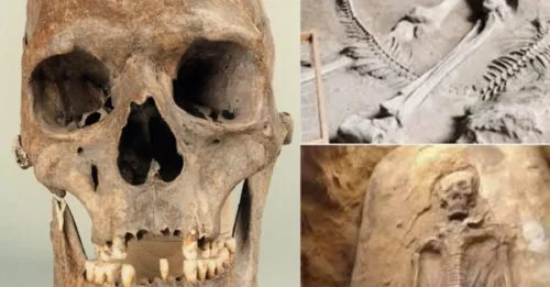 BREAKING: 7ft GIANTESS Discovered in a Mysterious 12th Century Grave – Is This Wonder Woman’s Lost Skeleton? Archaeologists Can’t Explain the Ritual