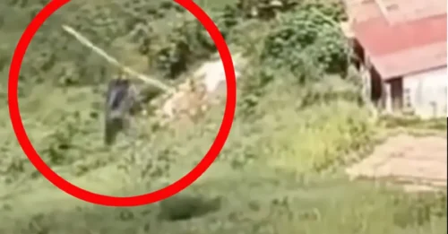 HORROR DE HELICÓPTERO! Impactante momento en que un piloto sin licencia estrella su helicóptero en un campo segundos después del despegue con su familia a bordo.