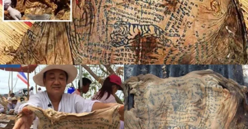 FORENSIC ANOMALY: The Withered Corpse That Refused to Rot – Gravediggers Dug Up a “Cursed Body” After Mysterious Tattoos Stopped Decay in Its Tracks