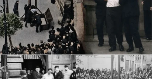 Why Guillotine Victims Had Their Shirts Cut Before Execution? The Chilling Logic Behind This Act - The Executioner Feared Buttons And Collars More Than The Blade
