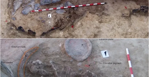 X-Ray of Deception: That ‘Male Noble’ Buried with Treasure? DNA Just Pulled the Mask Off – A Queen Was Lying Beneath the Armor.
