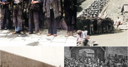How SS Guards Executed Prisoners With The 