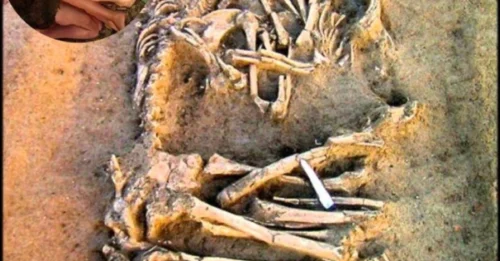The 6,000-Year-Old ‘Embrace’ That Made Grown Archaeologists Go Silent – Disturbing Discovery of the Star-Crossed Neolithic Couple