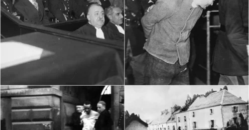 THE LAST PUBLIC GUILLOTINE EXECUTION IN FRANCE: 10,000 People Frenziedly Witnessed The HORRIFYING Death Of Eugen Weidmann, Immediately Prompting The French President To Sign A Historic Decree