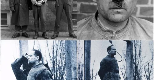 Rudolf Höss: He Learned How to Erase a Human in 49 Seconds—and His Biggest Regret on the Gallows Was Not That He Killed, But That He Did Not Kill “Efficiently Enough” Sooner.