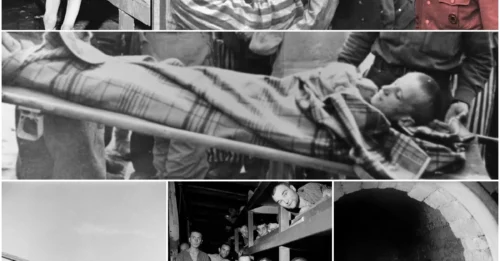 From AGE 2 to 86—277,800 PRISONERS. 56,000 DEAD. And the SMELL… the SMELL of DECAY was so THICK that even GERMANS who 