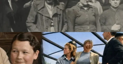 Why the YOUNGEST FEMALE GUARD of Stutthof Faced Public Execution: The Disturbing 4-Month Reign of 22-Year-Old Elisabeth Becker — Her Final Emotional Appeal for Mercy Before a Crowd of 200,000 Shocked Witnesses 7