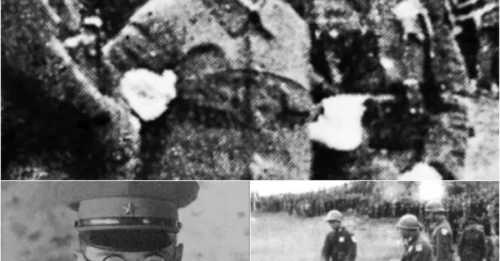THE EXECUTION OF THE 