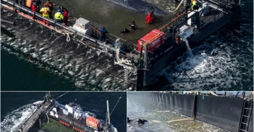 Stranded. Alone. 32 Feet of Pure Agony. Then Rescuers Did Something SO Risky, Even Experts Said ‘He Won’t Make It’ – Watch Timmy’s SHOCKING Escape