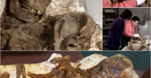 The TRUTH About Prehistoric Taiwan Has Been HIDDEN for 4,800 Years – Until a Mother’s Gaze BROKE Through the Soil