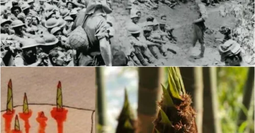 The “BAMBOO TORTURE” That TERRIFIED WWII Prisoners: How Japanese Soldiers Used Rapidly Growing Bamboo as a DEADLY Punishment Method During World War II ...