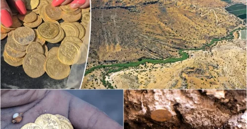 1,400-Year-Old Gold Coins That Look BRAND NEW Were Found in a ROTTEN Cloth Pouch – Then Archaeologists Dug 100 Meters and Froze.