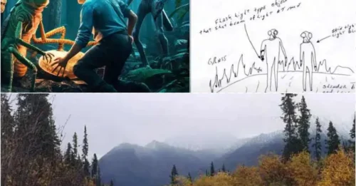 IT TOOK ONLY 3 SIPS OF THE YELLOW LIQUID – THEN HIS MEMORY EXPLODED: The 1987 Grasshopper Alien Abduction That Left 'Holes in Reality' and a Star Map No Human Should See