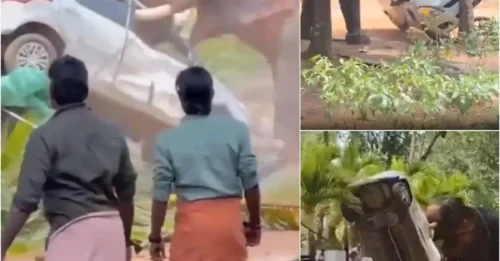 He Didn’t Run. He Stayed Beside the Man He Killed. The Bone-Chilling Reason an Elephant Flipped a Car and Stared Down Every Human for Two Hours