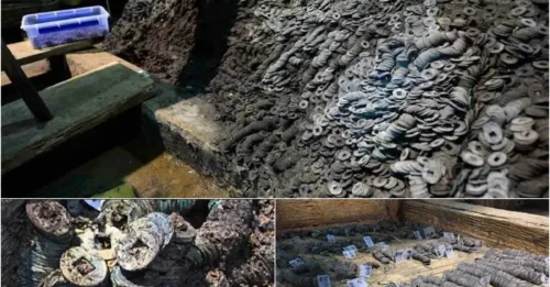 Shocking Discovery in China: 10 Tonnes of Coins from 206 BC – And That’s Just the Beginning!