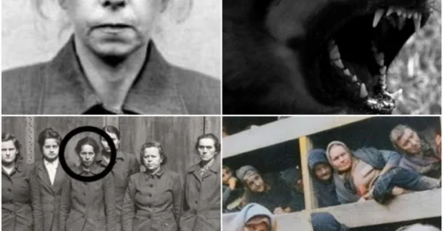 Juana Bormann – “The She-Wolf of Belsen”: The Woman Who Used Dogs to Tear Prisoners Apart and Her Fate on the Gallows