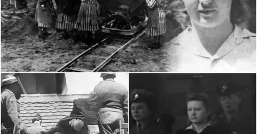 Dorothea Binz – 