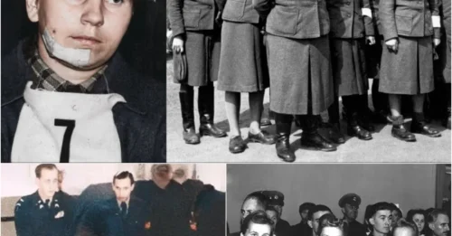 THE 'MONSTER' EXECUTION - The Female Auschwitz Guard Leader: The Bone-Chilling FINAL MOMENTS Of Elisabeth Volkenrath When Albert Pierrepoint Hanged Her For Historical Crimes That Shook The World
