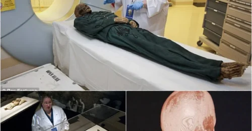 He Was Perfectly Preserved for 245 Years – Then Came the CT Scanner: The Shocking Truth About Michael Orlovits Finally Exposed