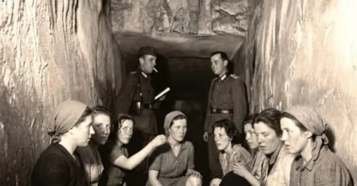 “The Next One”: The terrifying sorting of French female prisoners by German soldiers