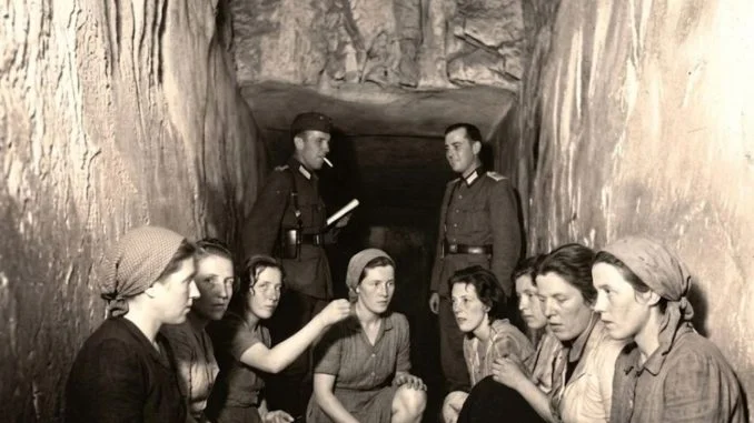 “The Next One”: The terrifying sorting of French female prisoners by ...