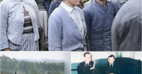 The Final PUBLIC EXECUTION In Poland: The Horrifying Last Words Of 11 Stutthof Guards As 200,000 People Witnessed Their Deaths