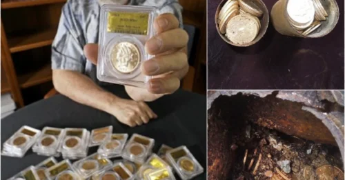 Who BURIED 1,427 Mint‑Condition Gold Coins in the Shadow of a Tree and NEVER Came Back? The Saddle Ridge Mystery DEEPENS