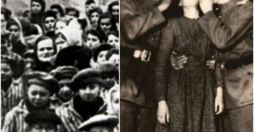 “PUT NO MORE ON!”: The Disturbing First-Night Ritual Inside Nazi Camps — The Chilling Experience New Prisoners Were Forced to Endure 7