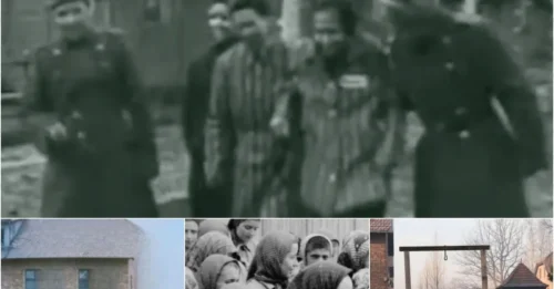 INSIDE AUSCHWITZ’S “GALLOWS OF DEATH”: The CHILLING Public Hanging Method Used by SS Soldiers to Spread Fear — A DARK Holocaust Secret History Refuses to Forget 7