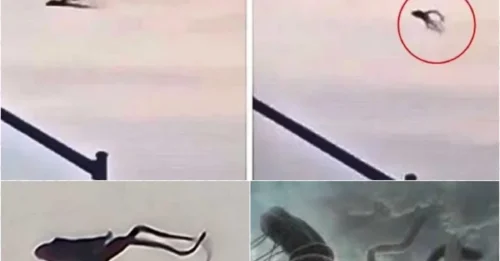 WAR OF THE WORLDS MOMENT: Something That Looks Like a Giant Squid From Another Dimension Hovers, Twists and Contracts Above California – Experts Silent