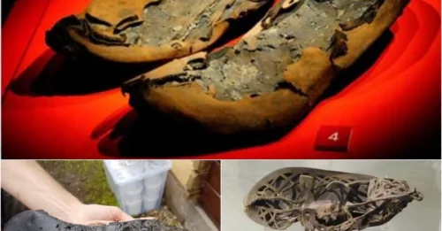 Aliens Didn’t Do It – But Romans Invented the Predator Boot 1,800 Years Early: 421 Shoes Pulled from a Secret Ditch