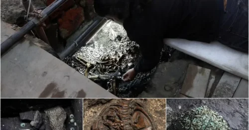 Priests Spent 520 Years Hiding This Beneath Mexico City’s Temple Steps: A Warrior Jaguar, 165 Starfish, a Dozen Sacrificed Children, and the Possible Cremains of Emperor Ahuitzotl