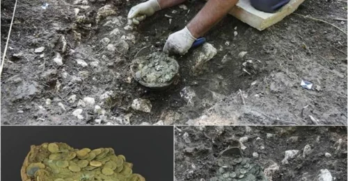 A Cowhide Split a Pot of 1,300 Roman Coins in Half – And the CT Scan Just Exposed the Dirty Secret of Constantine’s 'Stable' Economy: Bronze Coins for the Poor, Gold Standard for the Rich.