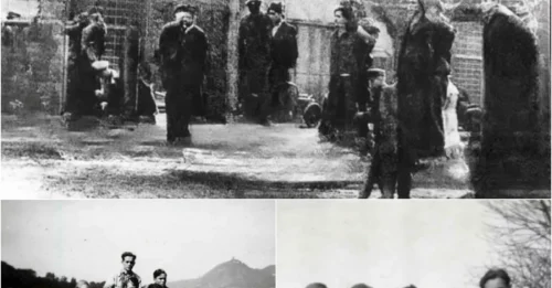 The public mass execution of the EDELWEISS PIRATES in Cologne: 13 Boys Hanged In Ehrenfeld And Their Final Defiant Song To The German Fascists
